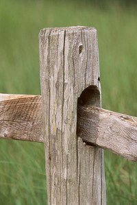 fence-post
