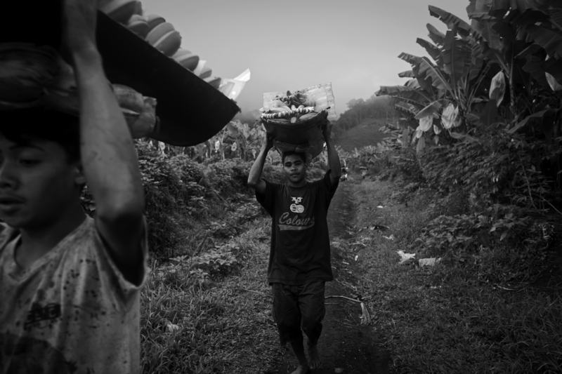BANANA PLANTATION WORKERS