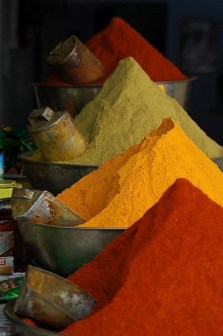 Indian spices
