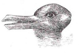 duck rabbit illusion