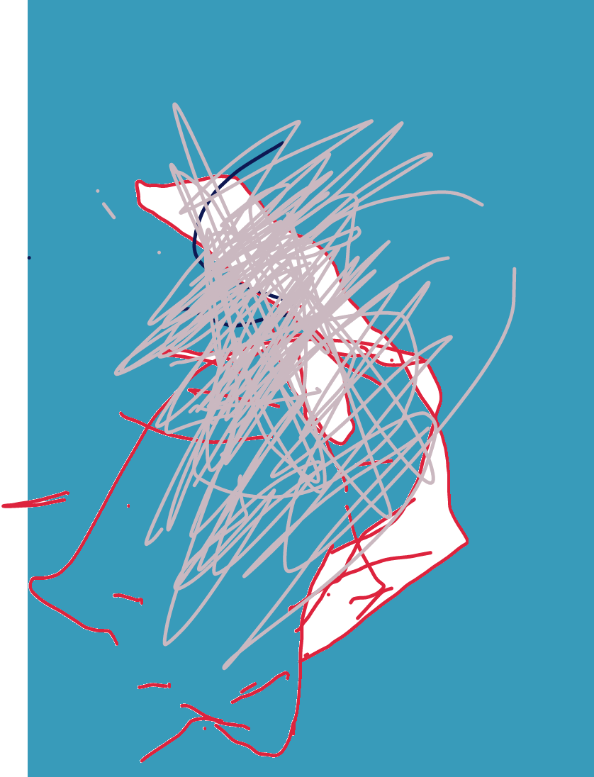 Samuel - Air New Zealand Flight Paths