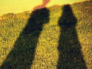 Shindell and Kaplansky