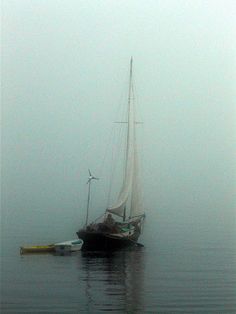sailing fog