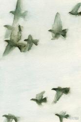 Beverly Brown - A Flock Of Pigeons 2 (2011).jpg